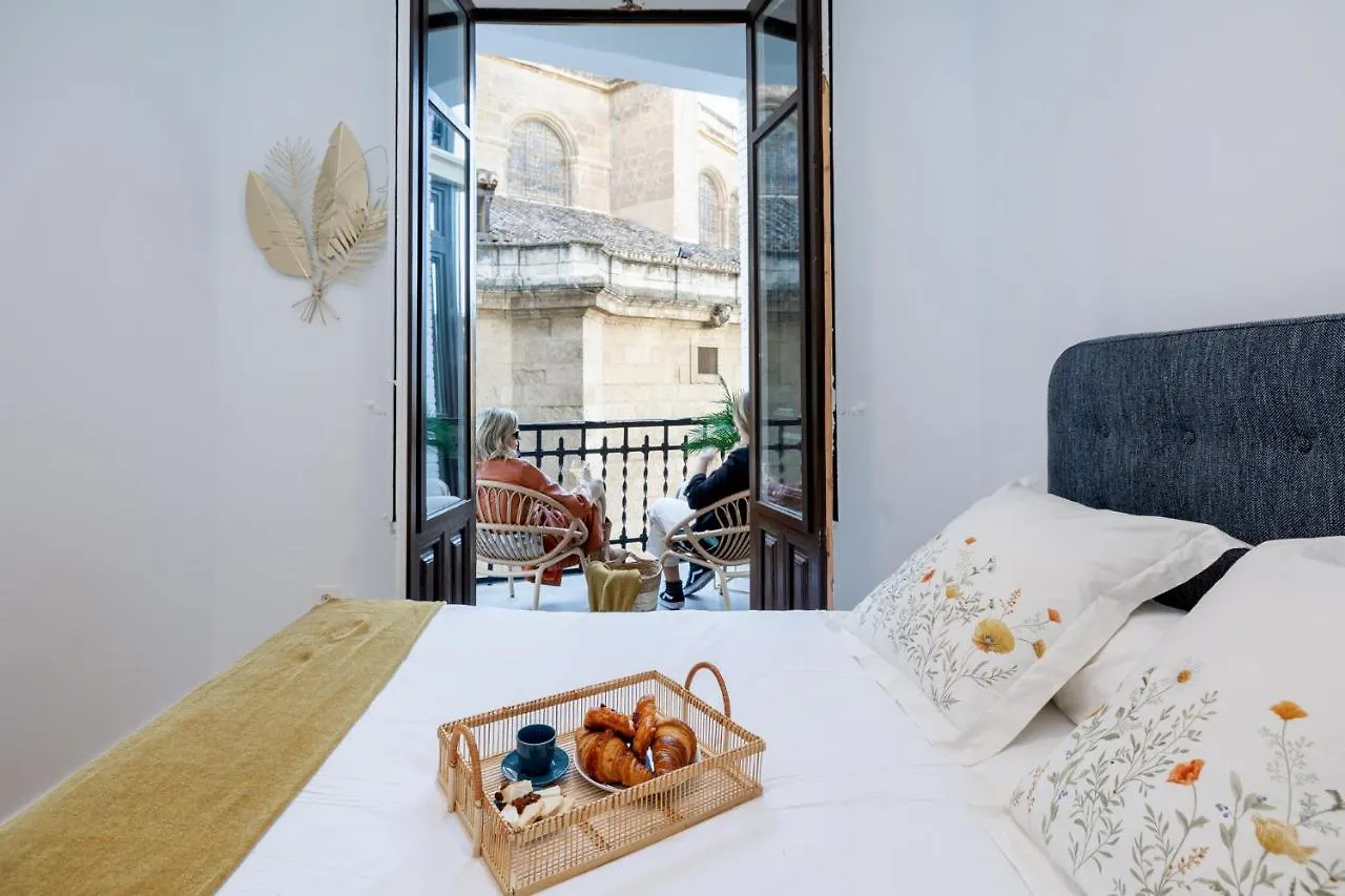 Luxury Gran Via Apartments غرناطة 0*,