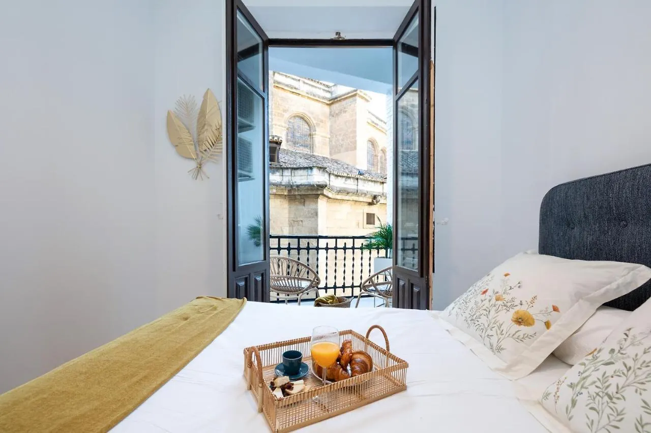 Luxury Gran Via Apartments غرناطة إسبانيا